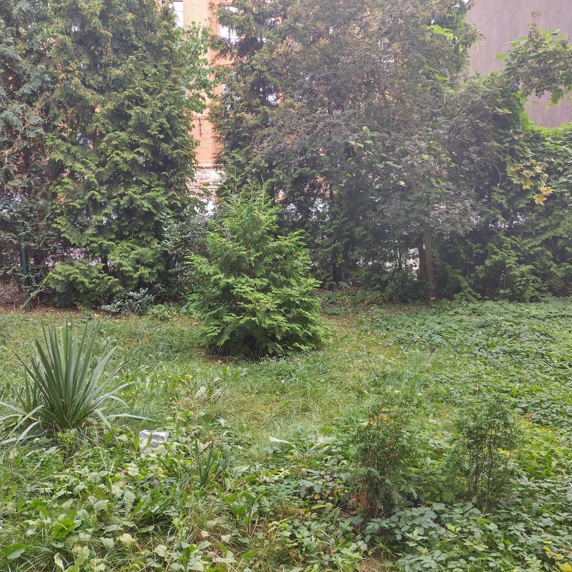 Apartament Przedzamcze Stary Toruń Exterior foto
